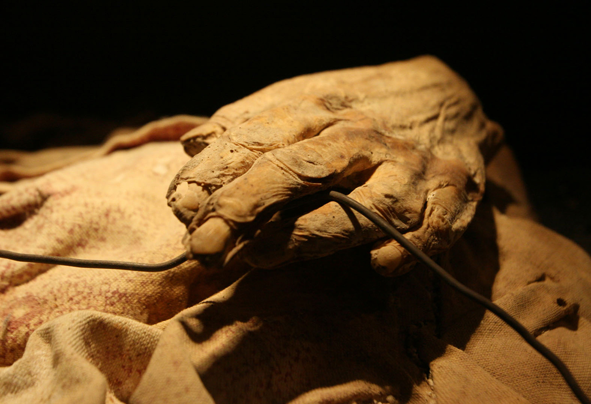museo de las momias de guanajuato