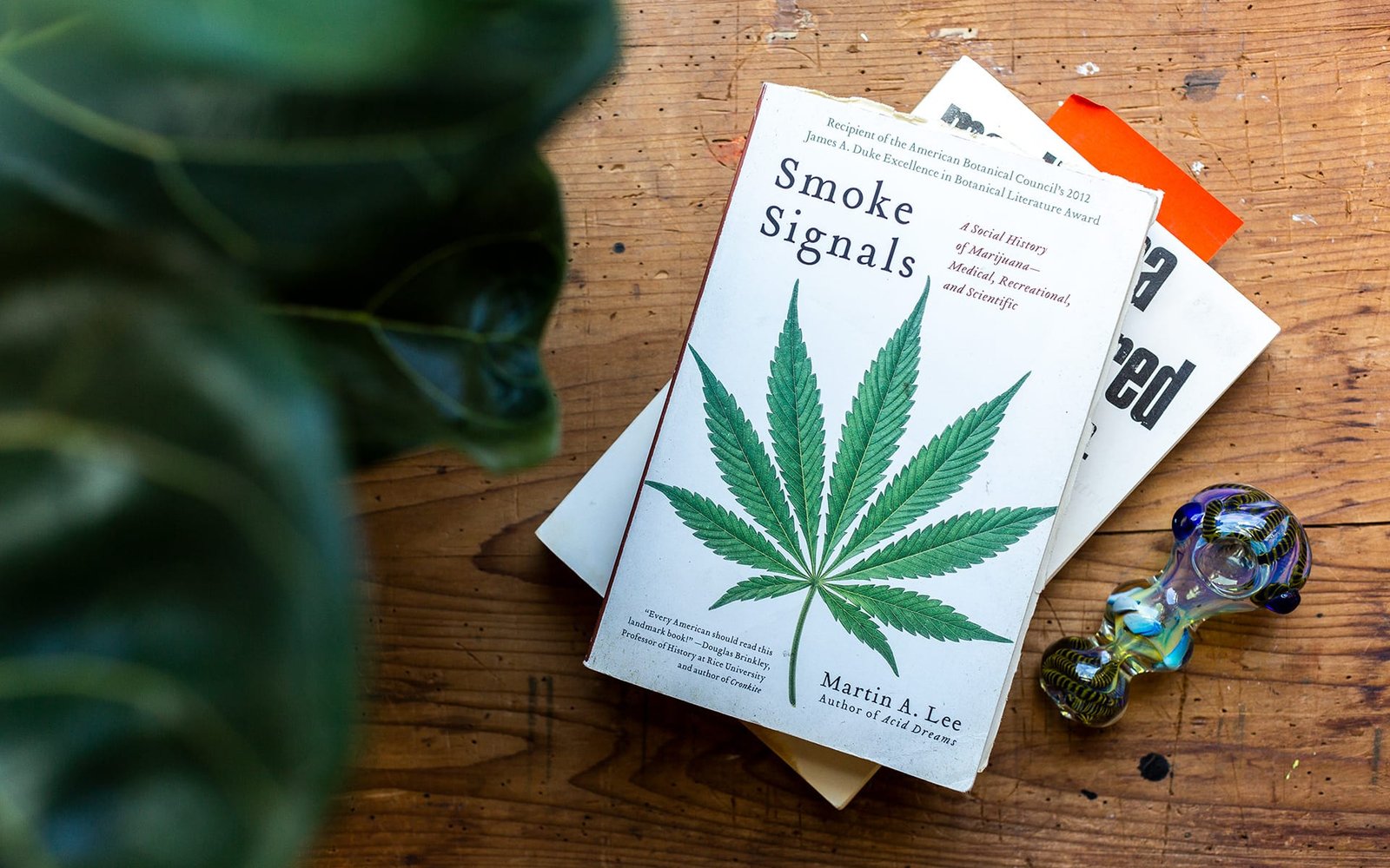 23 LIBROS SOBRE EL CANNABIS PARA DESCARGAR COMPLETAMENTE GRATIS