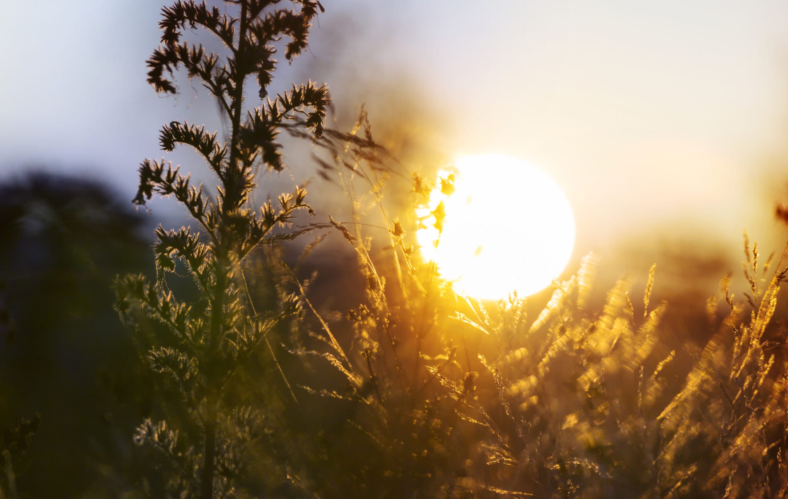 EL DÍA NO RESTITUIDO UN CUENTO DE GIOVANNI PAPINI