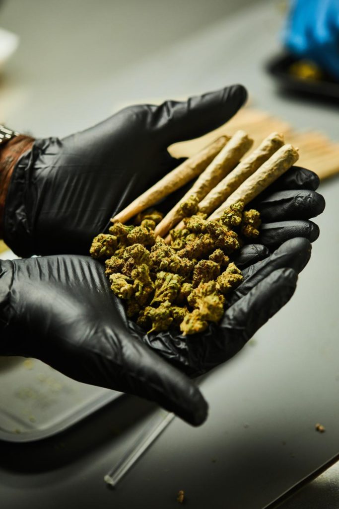Diplomado de Cannabis en la UNAM
