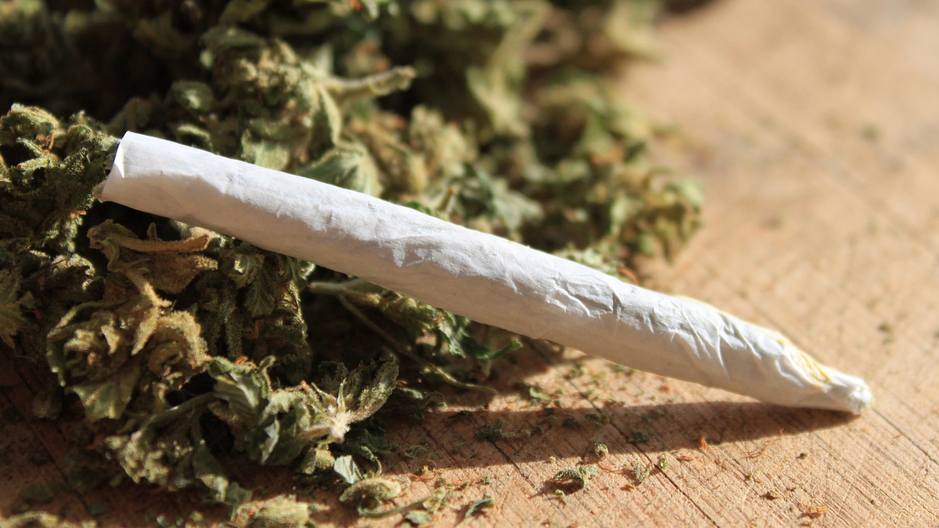 Uso lúdico de la marihuana requiere un permiso por Cofepris