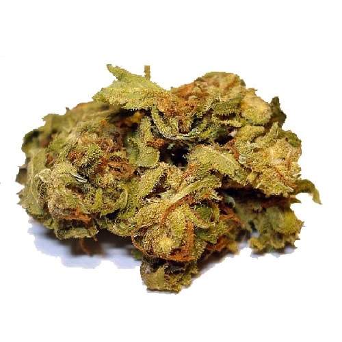 Cepas de marihuana Acapulco Gold