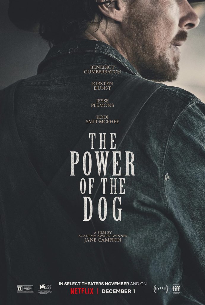 Póster The Power of the Dog