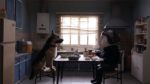 Escena Bestia, cortometraje chileno nominado al Oscar 2022