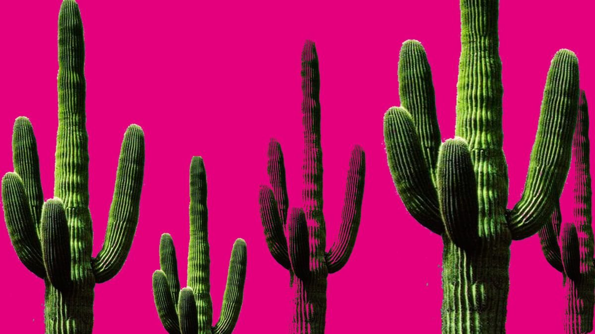 Rosa mexicano y más: la historia detrás de los colores que México le dio al mundo