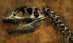 dinosaurio fósil