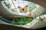 Pabellón Nacional de la Biodiversidad, nuevo museo de la UNAM