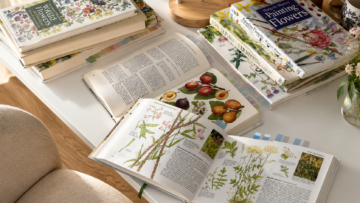 Colección de libros antiguos de botánica abiertos sobre una mesa rústica de madera exterior, mostrando grabados e ilustraciones de plantas medicinales como Solidago virgaurea, Rosmarinus officinalis y Urtica dioica.