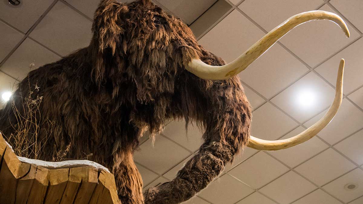 mamut intervenciones culturales en el metro