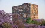 UNAM tiene curso de Historia del Arte en línea