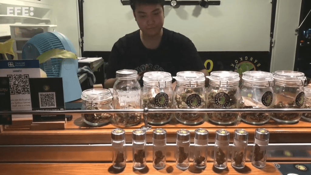 Vendedor de cannabis en Bangkok tras la despenalización de su uso en Tailandia