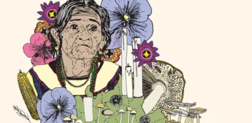 Hongos enteógenos o 