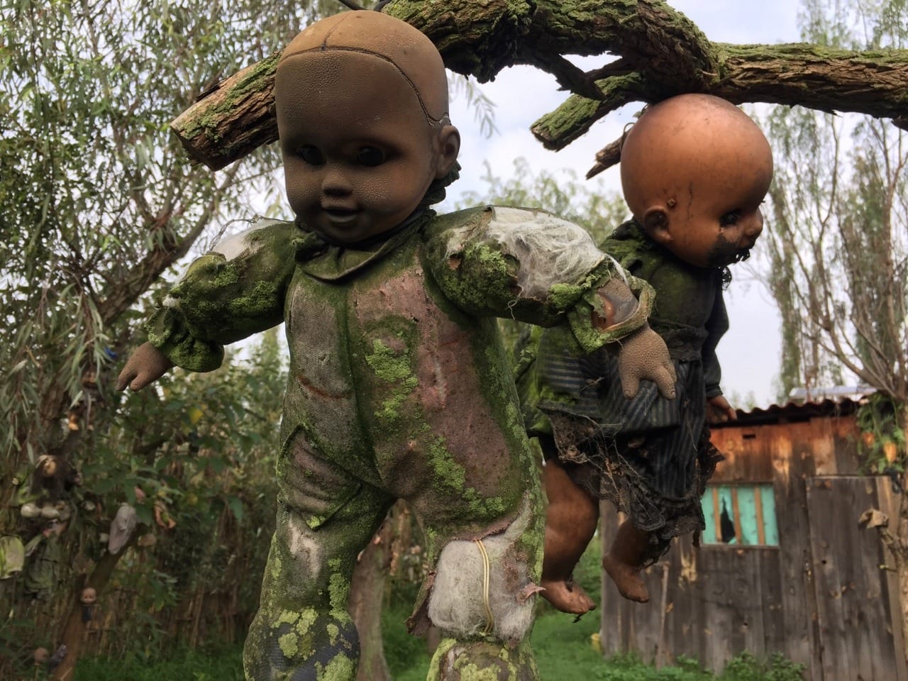 Жуткая страна. Сочимилько Мексика кукол остров. Остров мертвых кукол в Мексике. Ла Исла де ла Мунекас остров кукол.