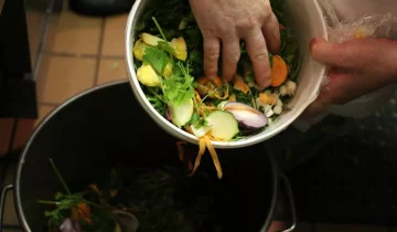 Conoce estas apps para evitar el desperdicio de alimentos