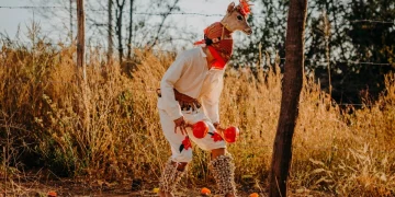 Danza del jaguar y del venado. Orígenes y actualidad