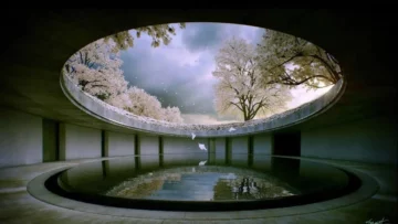 Tadao Ando: el maestro de la arquitectura minimalista y poética