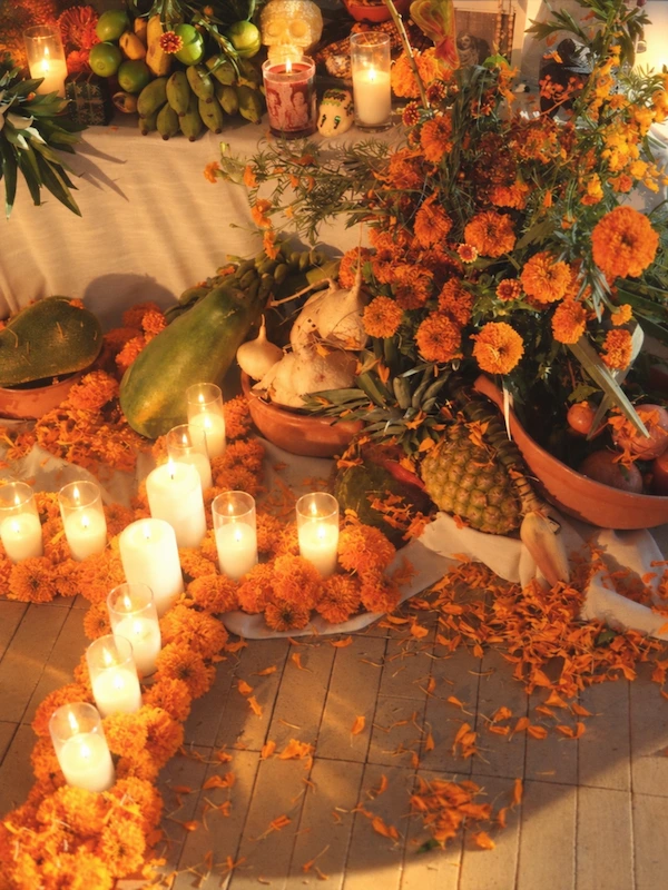 Camino de cempasúchil y veladoras encendidas frente a un altar de muertos con frutas, calaveritas y recipientes de barro.