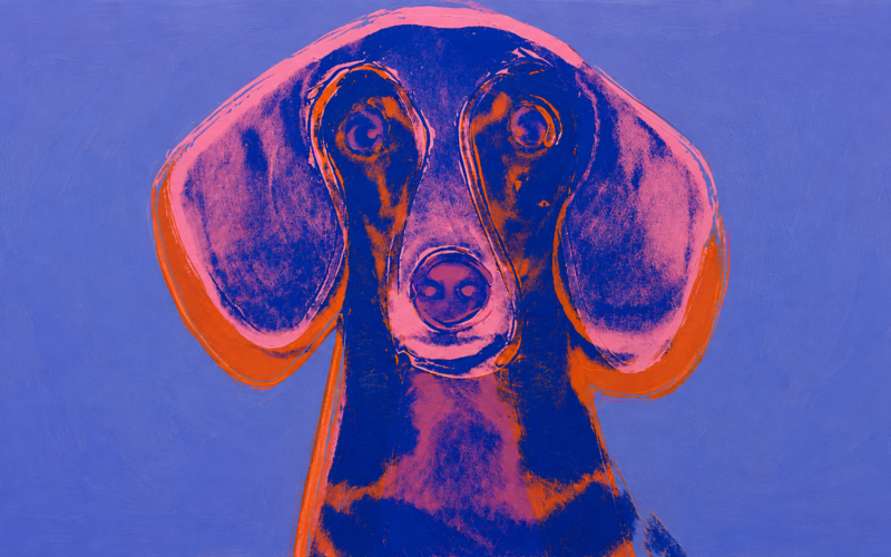 El perro salchicha en el arte: De Picasso a Warhol, la inspiración de un dachshund