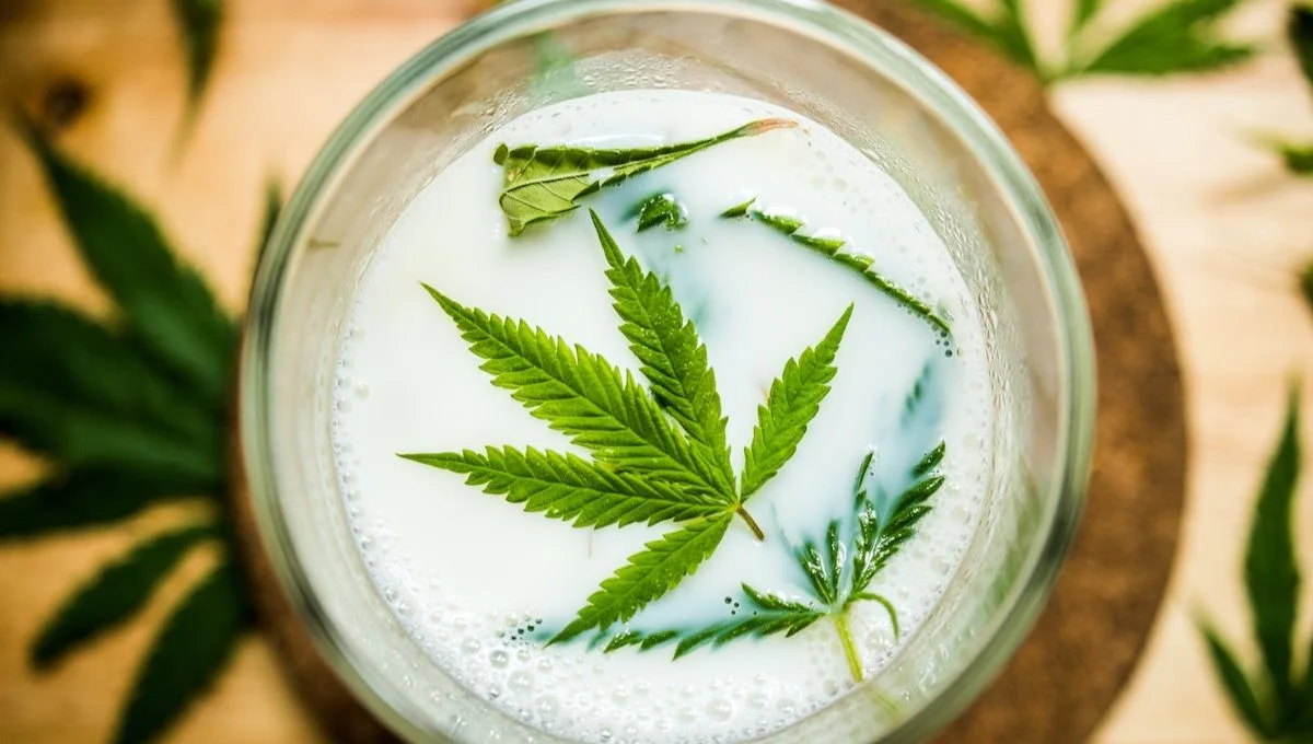 Bhang Lassi: La bebida ancestral de la India que sana con marihuana