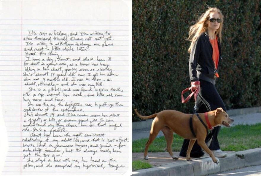 Artistas que cancelaron antes de sus shows