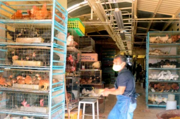 Mercado-de-Sonora