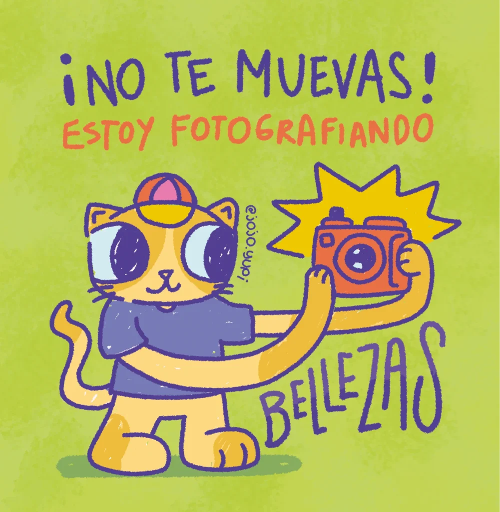 Ilustradora denuncia plagio por parte de un partido político