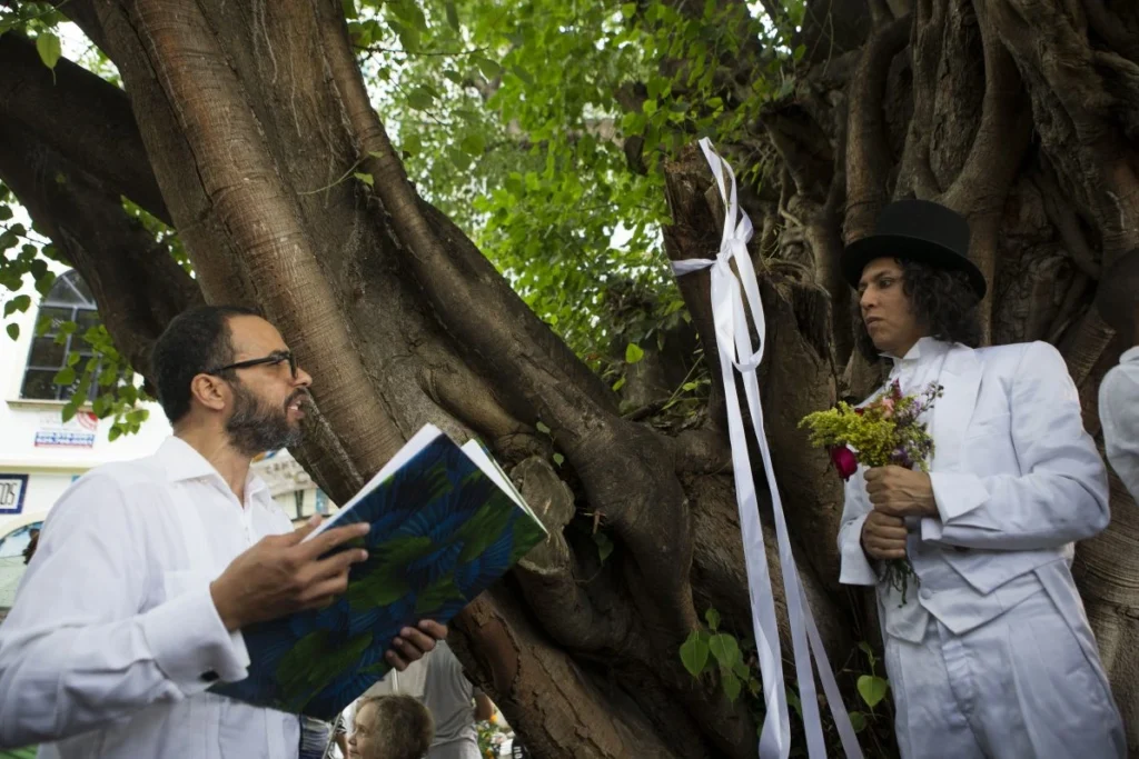 boda masiva con árboles