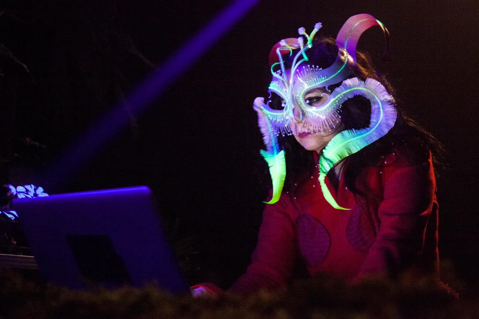 Las razones por las que Björk demanda al Estado Islandés