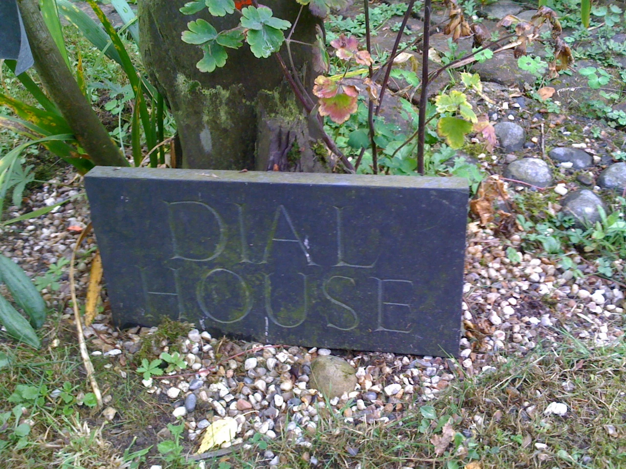 Dial House: el monumento anarcopunk a la autonomía y la creación