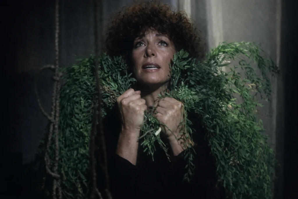 dónde ver La viuda negra