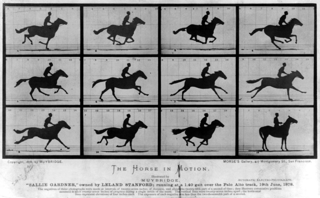 The Horse in Motion de Eadweard Muybridge secuencia fotográfica cronofotografía de un caballo al galope pionera del cine.