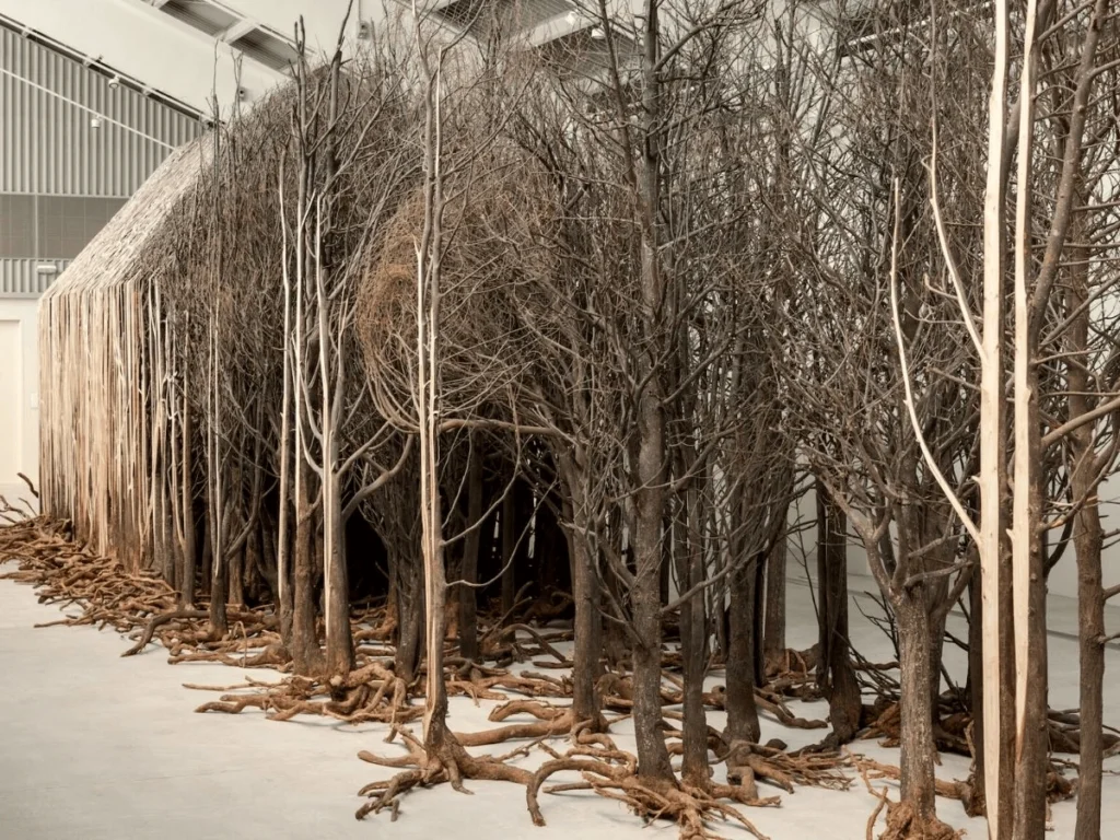 Instalación artística monumental de Doris Salcedo titulada Desarraigados, que muestra la estructura de una casa mimetizada y desvaneciéndose en medio de un denso bosque de árboles secos y raíces expuestas en una galería de arte.