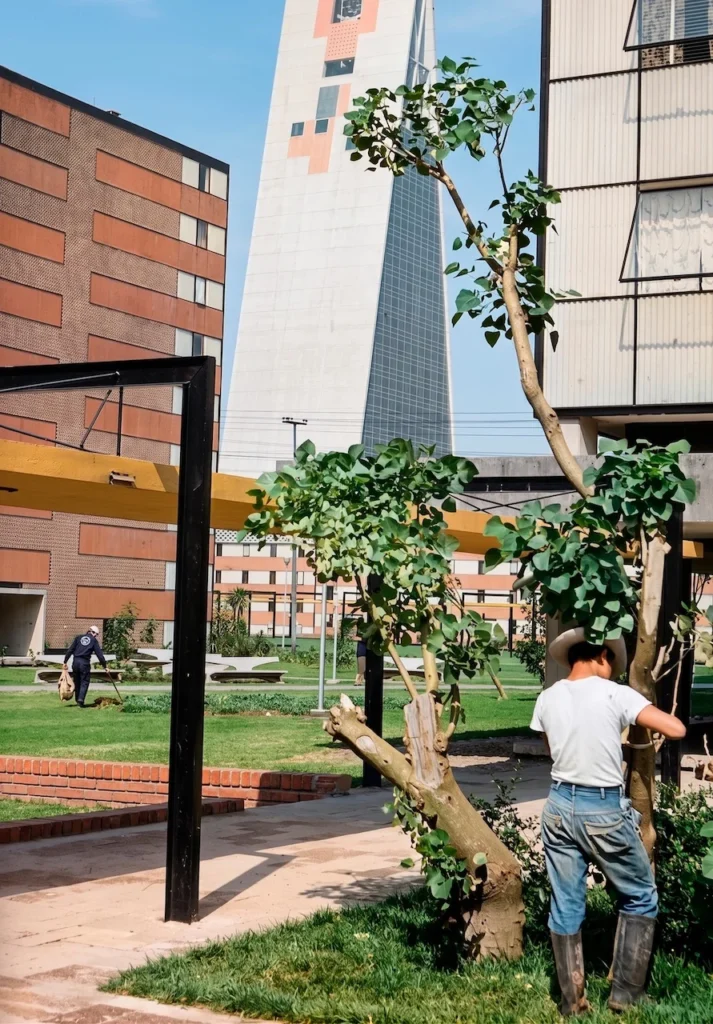Trabajadores de mantenimiento en los jardines del Conjunto Urbano Nonoalco Tlatelolco, con la Torre Insignia de Mario Pani al fondo, ilustrando la vida en la maquinaria habitable.