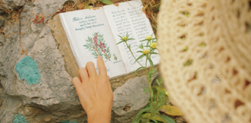 Descarga gratis los mejores libros ilustrados sobre botánica y biodiversidad Colección de libros antiguos de botánica abiertos sobre una mesa rústica de madera exterior, mostrando grabados e ilustraciones de plantas medicinales como Solidago virgaurea, Rosmarinus officinalis y Urtica dioica.