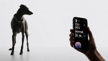 Tecnología para mascotas: guía de comederos, cámaras, GPS y otros Perro galgo italiano de perfil con collar inteligente junto a una mano sosteniendo un iPhone que muestra la interfaz de la aplicación con signos vitales en tiempo real, como ritmo cardíaco y respiración.