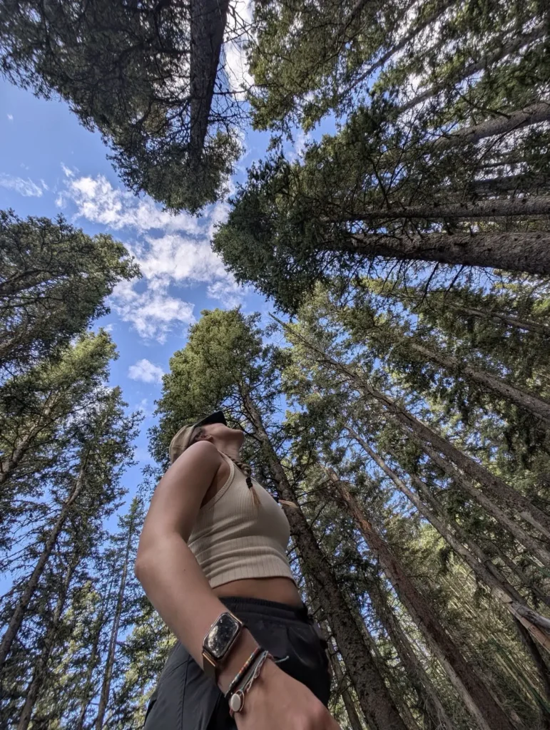 Excursionista en contrapicado mirando hacia la copa de enormes árboles de coníferas bajo un cielo azul con nubes.