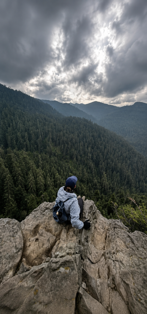 Excursionista sentada en la orilla de un acantilado de piedra contemplando un inmenso bosque de pinos y oyameles bajo un cielo nublado en México.