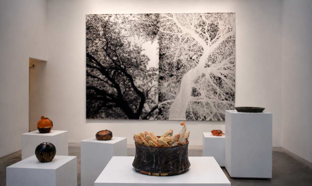 Elotes, cerámica de Francisco Toledo, frente al tapiz Manglar III de Jan Hendrix en la exposición Toledo + Hendrix de la GAM.
