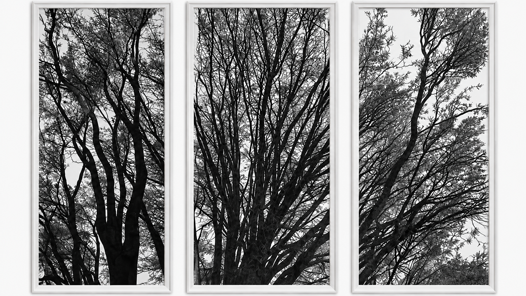 Tríptico de grabado en blanco y negro del artista neerlandés Jan Hendrix representando siluetas densas de ramas y follaje de árboles de estilo botánico y abstracto.