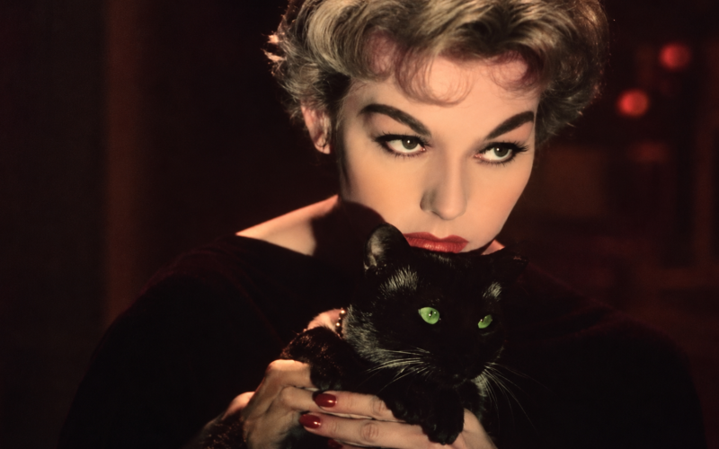 Why did cats become symbols of witchcraft, sensuality, and rebellion?
