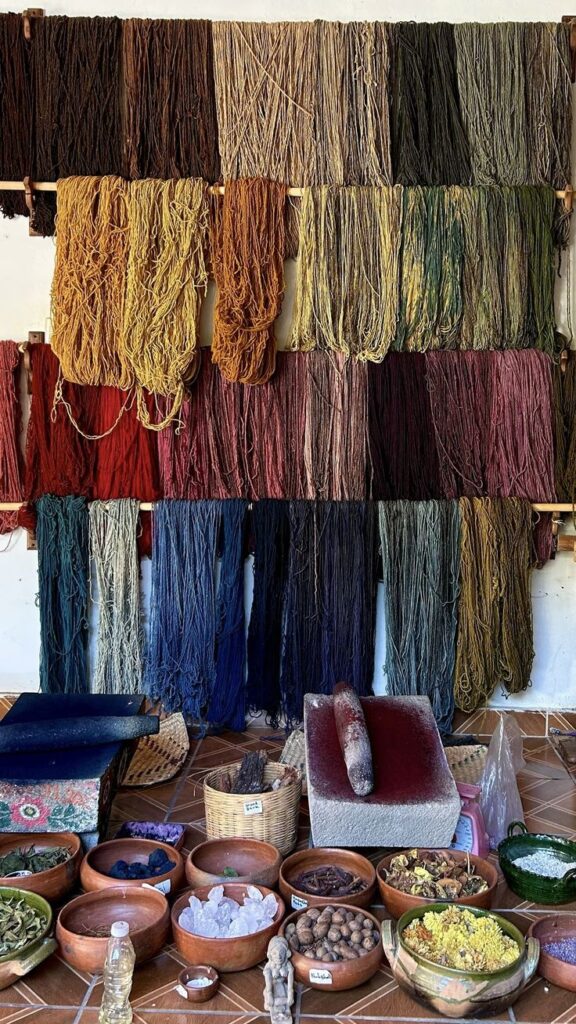 Madejas de hilo teñidas con distintos colores junto a plantas, semillas y materiales usados para crear tintes naturales.